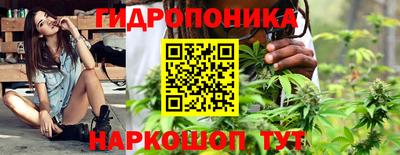 сатива Нарткала