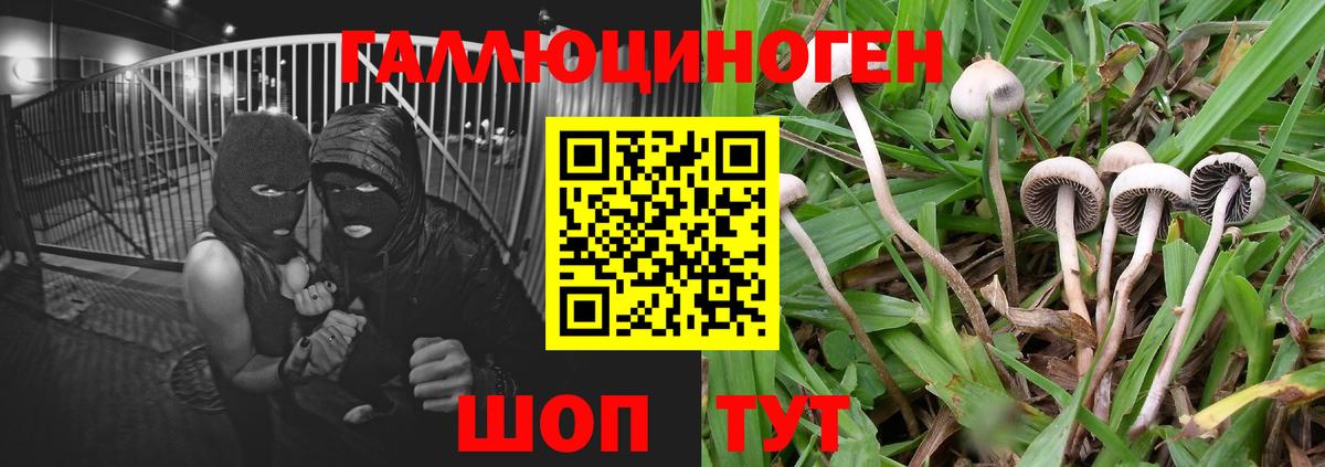 даркнет сайт  Вход с VPN  Усолье-Сибирское  Псилоцибиновые грибы мухоморы 